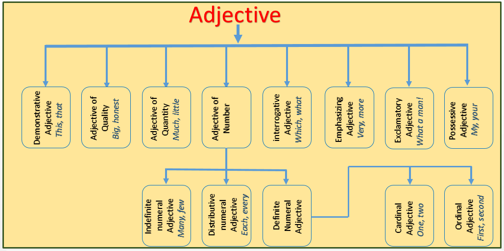 Indefinite Numeral Adjectives Examples