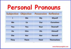 animal pronouns he or she