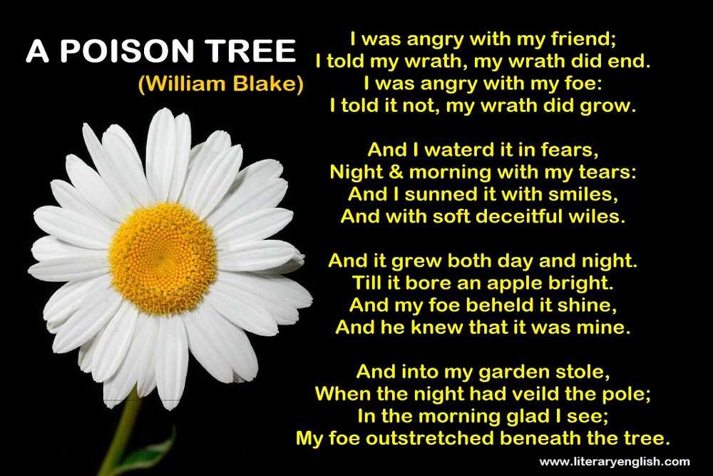 a poison tree analysis essay