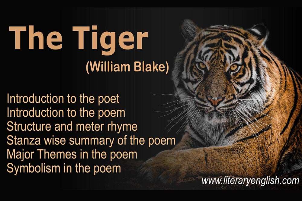 Summary of The Tiger (Tyger) by William Blake - Literary English