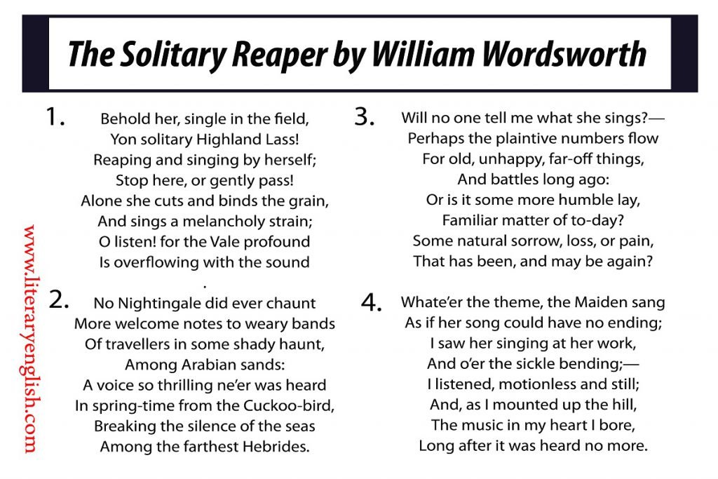 summary of the solitary reaper by William Wordswoprth