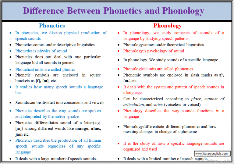 write an essay on the difference between phonetics and phonology
