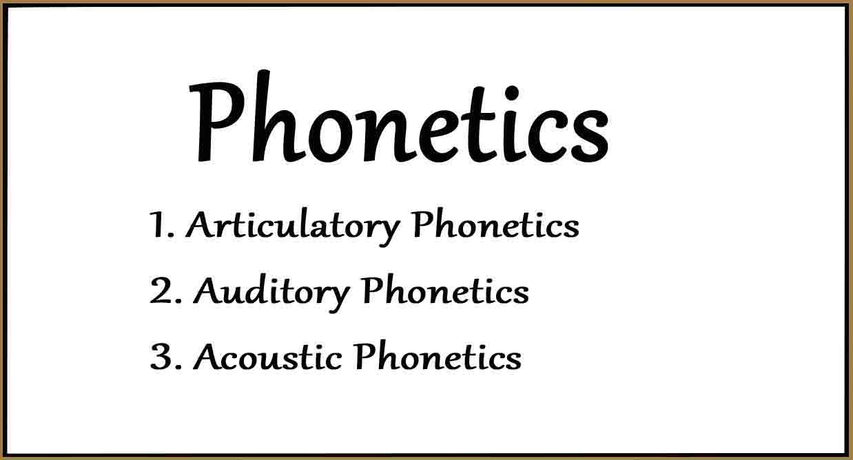 Phonetics and Branches of Phonetics - Literary English