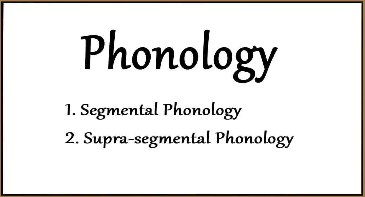 phonology-and-branches-of-phonology-literary-english