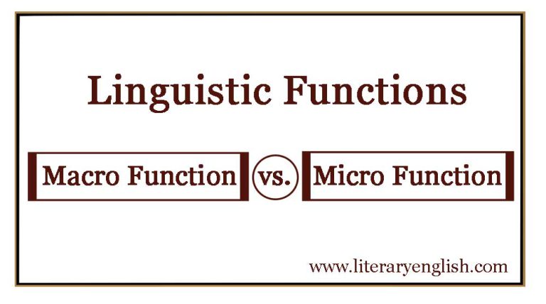 language-functions-macro-function-vs-micro-function-literary-english