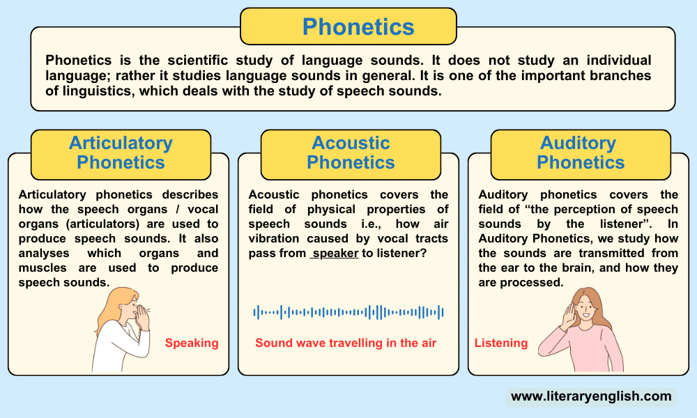 Branches of phonetics