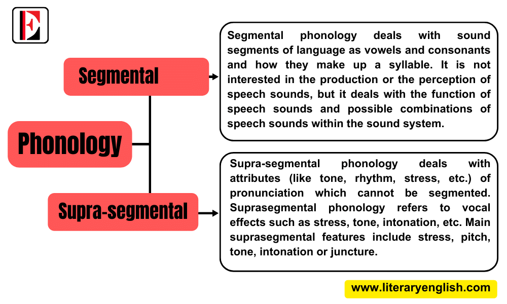 Branches of Phonology Segmental phonology and Supra-segmental Phonology