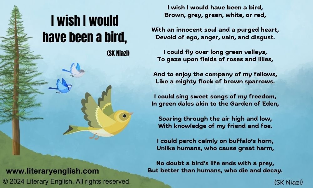 a bird