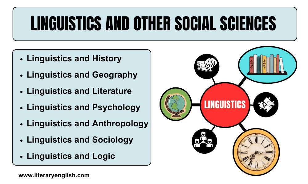 Linguistics and Other Social Sciences